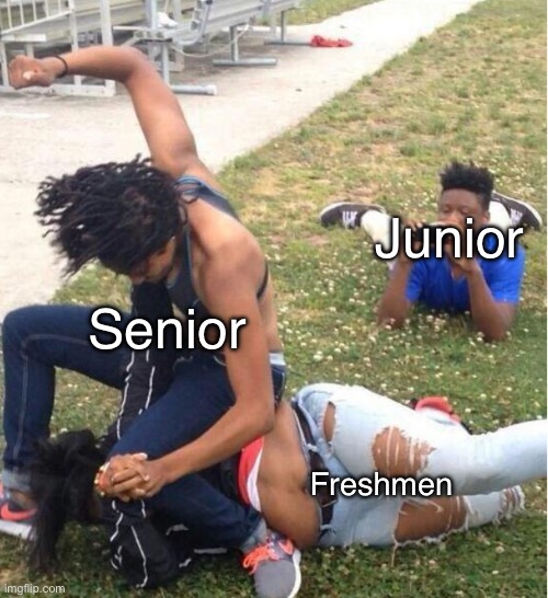 High School fight be like | Junior; Senior; Freshmen | image tagged in guy recording a fight | made w/ Imgflip meme maker