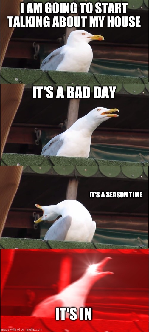 Inhaling Seagull Meme | I AM GOING TO START TALKING ABOUT MY HOUSE; IT'S A BAD DAY; IT'S A SEASON TIME; IT'S IN | image tagged in memes,inhaling seagull | made w/ Imgflip meme maker