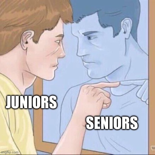 POV you see your future self | SENIORS; JUNIORS | image tagged in pointing mirror guy | made w/ Imgflip meme maker