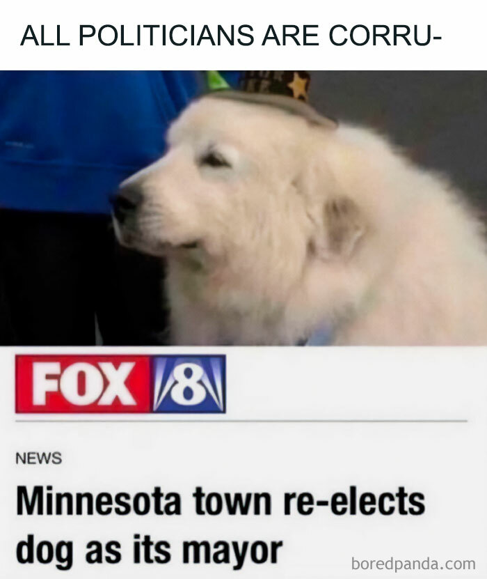 Mayor Doggo Blank Meme Template