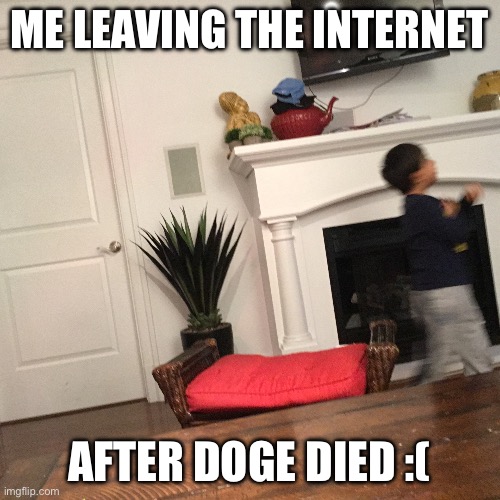 Kid walking away | ME LEAVING THE INTERNET; AFTER DOGE DIED :( | image tagged in kid walking away | made w/ Imgflip meme maker