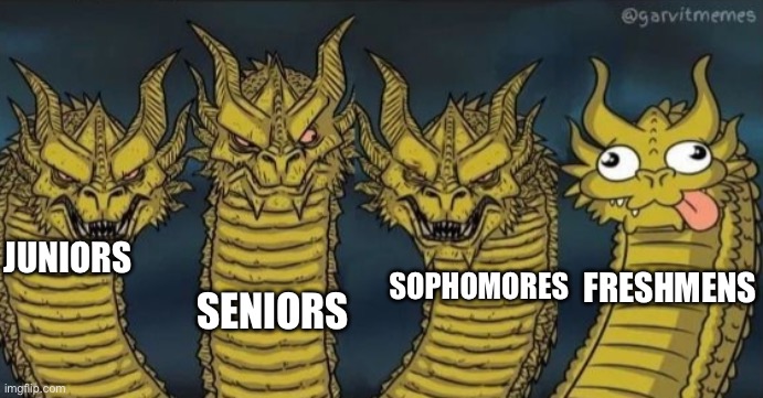 School grade lvl maturity be like | JUNIORS; SENIORS; SOPHOMORES; FRESHMENS | image tagged in 4 headed dragon | made w/ Imgflip meme maker