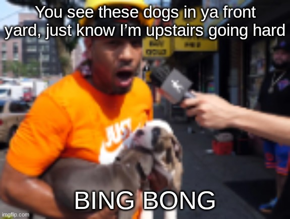 You see these dogs in ya front yard, just know I’m upstairs going hard BING BONG | made w/ Imgflip meme maker