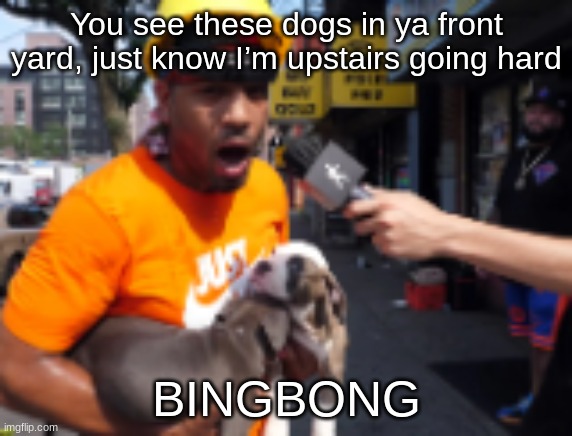 bingbong | You see these dogs in ya front yard, just know I’m upstairs going hard; BINGBONG | image tagged in bingbong | made w/ Imgflip meme maker