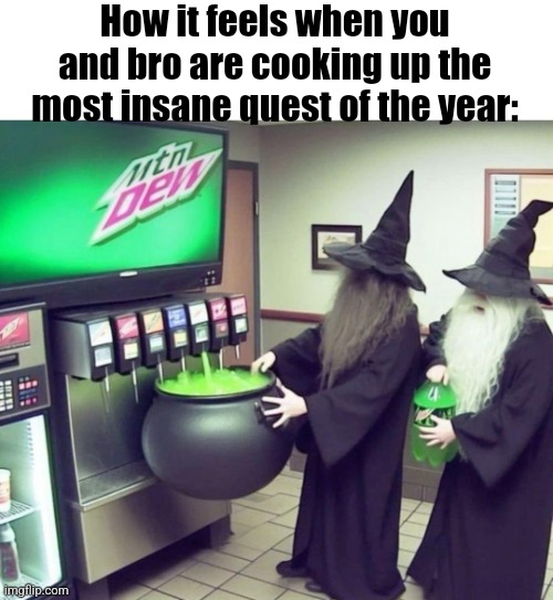 Frfr | How it feels when you and bro are cooking up the most insane quest of the year: | image tagged in seekers of the swag volume 3 | made w/ Imgflip meme maker