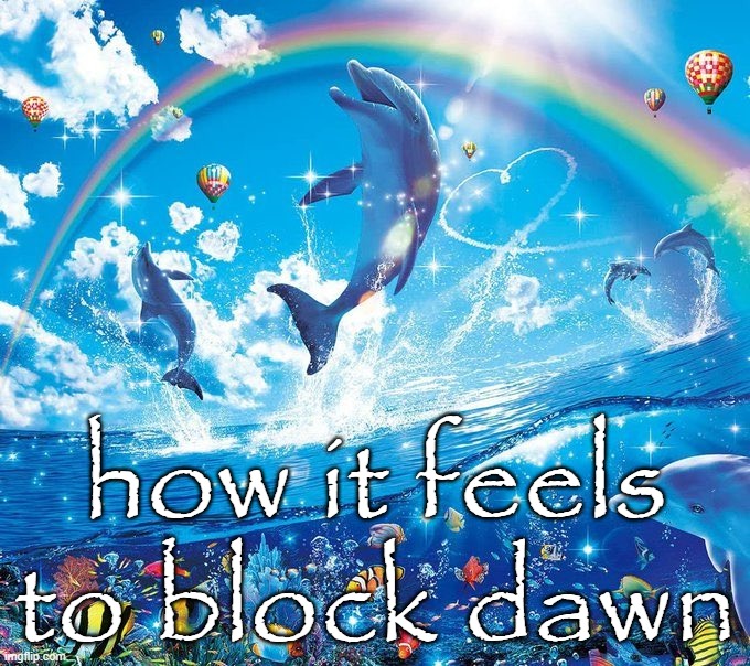 How it feels to x | how it feels to block dawn | image tagged in how it feels to x | made w/ Imgflip meme maker