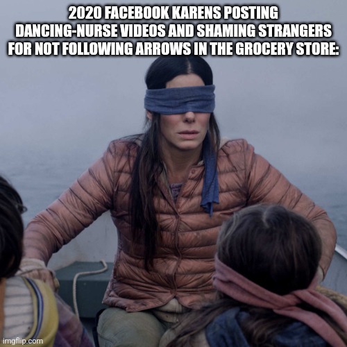 Bird Box Meme | 2020 FACEBOOK KARENS POSTING DANCING-NURSE VIDEOS AND SHAMING STRANGERS FOR NOT FOLLOWING ARROWS IN THE GROCERY STORE: | image tagged in memes,bird box | made w/ Imgflip meme maker