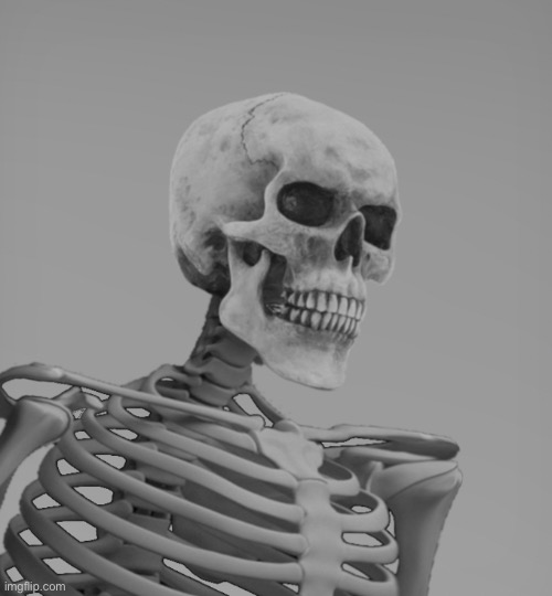 Skeleton Gigachad | image tagged in skeleton gigachad | made w/ Imgflip meme maker