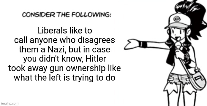 Consider the following pokespe | Liberals like to call anyone who disagrees them a Nazi, but in case you didn't know, Hitler took away gun ownership like what the left is trying to do | image tagged in consider the following pokespe | made w/ Imgflip meme maker