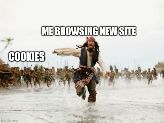 Jack Sparrow Being Chased Meme | ME BROWSING NEW SITE; COOKIES | image tagged in memes,jack sparrow being chased | made w/ Imgflip meme maker