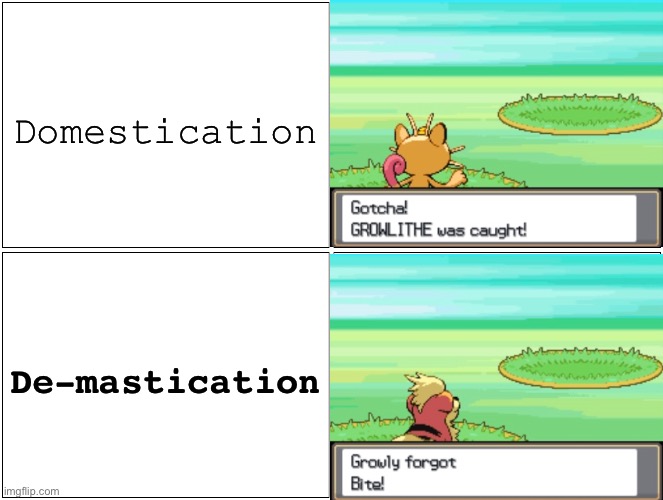 Pokégrammar | Domestication; De-mastication | image tagged in memes,grammar,wordplay,pun,pokemon,spelling | made w/ Imgflip meme maker