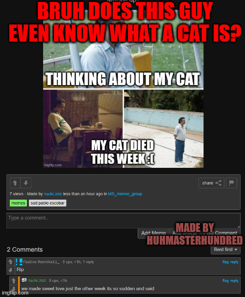 if he does thats gross and messed up | BRUH DOES THIS GUY EVEN KNOW WHAT A CAT IS? MADE BY HUHMASTERHUNDRED | made w/ Imgflip meme maker