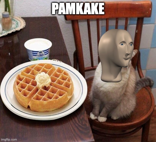 Pancake Cat | PAMKAKE | image tagged in pancake cat | made w/ Imgflip meme maker