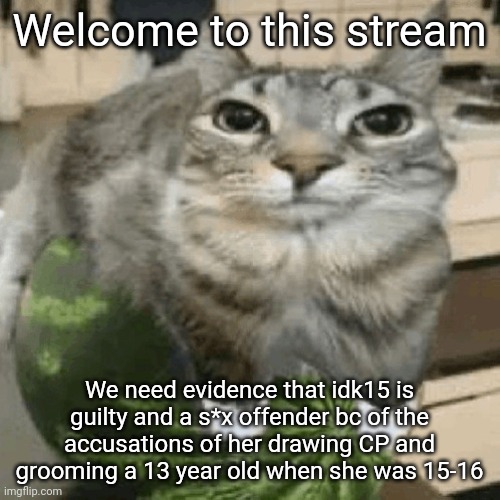 Cat on melon | Welcome to this stream; We need evidence that idk15 is guilty and a s*x offender bc of the accusations of her drawing CP and grooming a 13 year old when she was 15-16 | image tagged in cat on melon | made w/ Imgflip meme maker