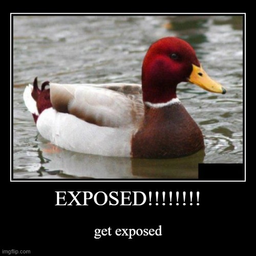 EXPOSED!!!!!!!! | get exposed | image tagged in funny,demotivationals | made w/ Imgflip demotivational maker