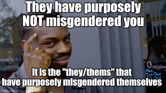 Roll Safe Think About It Meme | They have purposely NOT misgendered you It is the "they/thems" that have purposely misgendered themselves | image tagged in memes,roll safe think about it | made w/ Imgflip meme maker