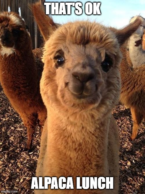 happy alpaca | THAT'S OK ALPACA LUNCH | image tagged in happy alpaca | made w/ Imgflip meme maker