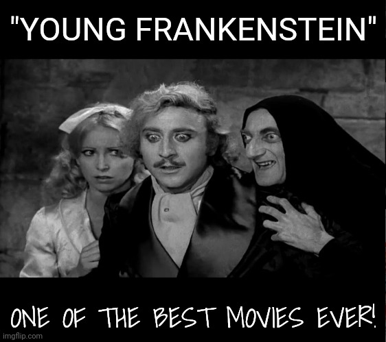 One of the Best Films Ever! | "YOUNG FRANKENSTEIN"; ONE OF THE BEST MOVIES EVER! | image tagged in mel brooks,gene wilder,young frankenstein | made w/ Imgflip meme maker