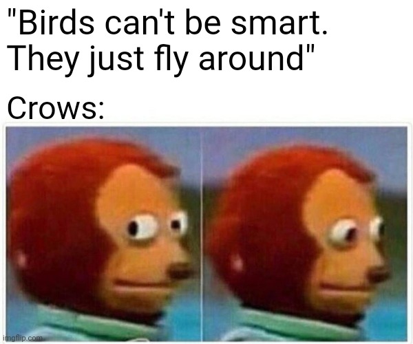 10000 iq crow | "Birds can't be smart. They just fly around"; Crows: | image tagged in memes,true | made w/ Imgflip meme maker