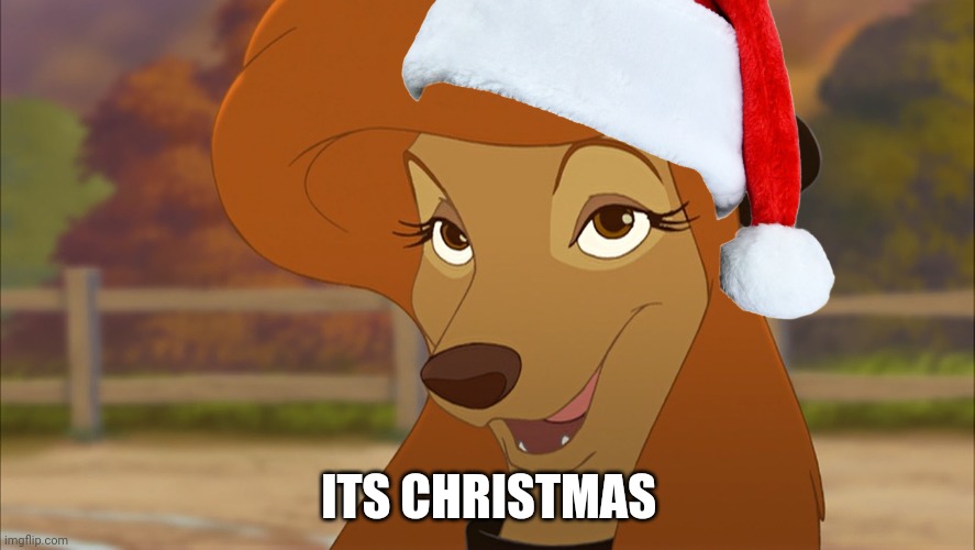 Its Christmas | ITS CHRISTMAS | image tagged in dixie smiling,mgm,christmas,saluki,the fox and the hound 2,hollywood | made w/ Imgflip meme maker