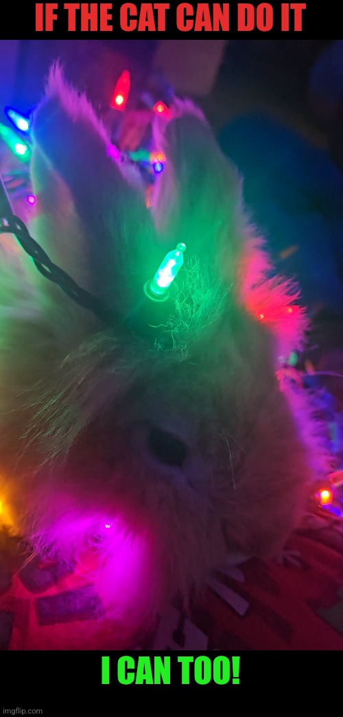 BUNNY CHILLIN IN THE LIGHTS | IF THE CAT CAN DO IT; I CAN TOO! | image tagged in bunny,rabbit,christmas lights,christmas | made w/ Imgflip meme maker