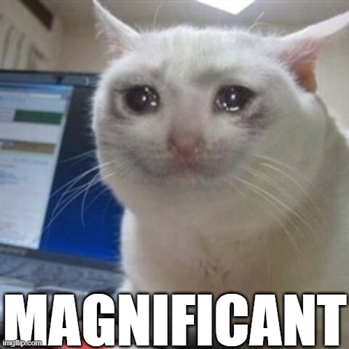 Crying cat | MAGNIFICANT | image tagged in crying cat | made w/ Imgflip meme maker