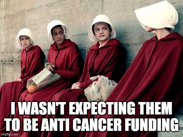 Handmaid's Tale | I WASN'T EXPECTING THEM TO BE ANTI CANCER FUNDING | image tagged in handmaid's tale | made w/ Imgflip meme maker