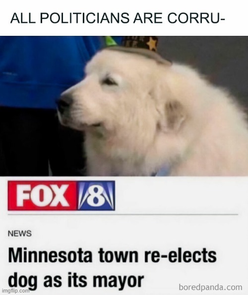 No title necessary | image tagged in mayor doggo | made w/ Imgflip meme maker