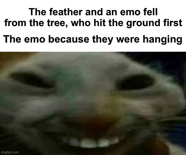 Realizing | The feather and an emo fell from the tree, who hit the ground first; The emo because they were hanging | image tagged in goofy ahh smiling cat | made w/ Imgflip meme maker