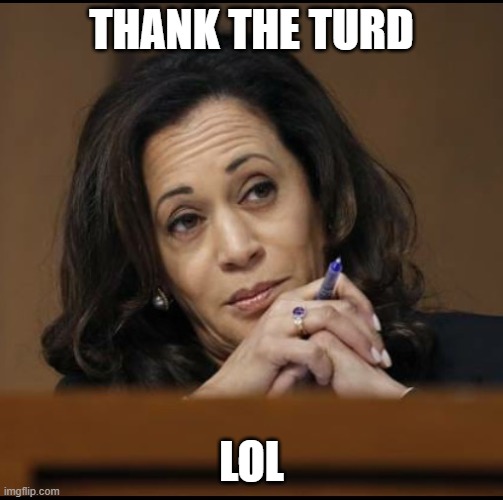 Kamala Harris  | THANK THE TURD LOL | image tagged in kamala harris | made w/ Imgflip meme maker