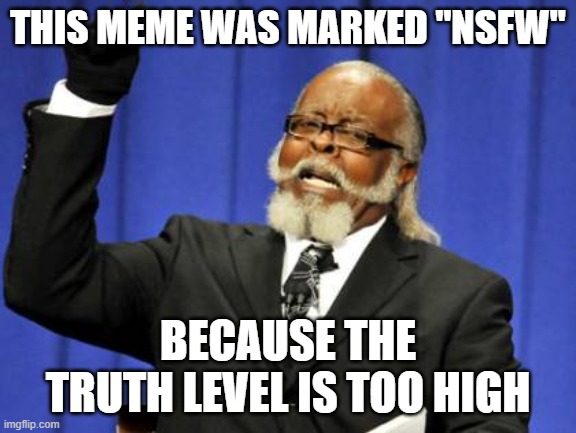 Too Damn High Meme | THIS MEME WAS MARKED "NSFW" BECAUSE THE TRUTH LEVEL IS TOO HIGH | image tagged in memes,too damn high | made w/ Imgflip meme maker