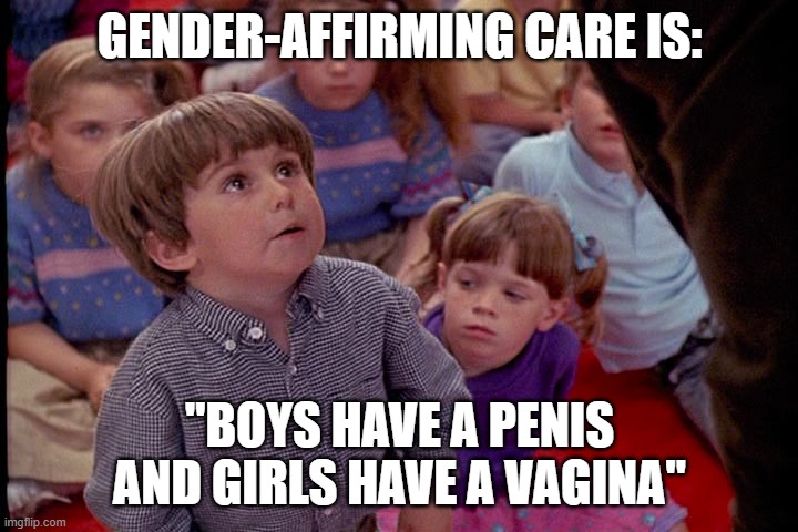 Kindergarten Cop Kid | GENDER-AFFIRMING CARE IS: "BOYS HAVE A PENIS AND GIRLS HAVE A VAGINA" | image tagged in kindergarten cop kid | made w/ Imgflip meme maker