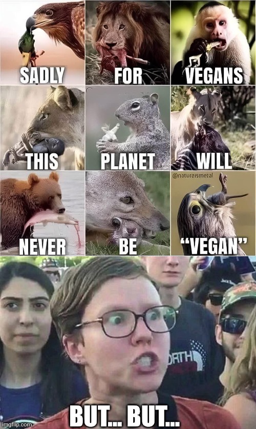 Nature | BUT... BUT... | image tagged in triggered liberal,memes,funny | made w/ Imgflip meme maker