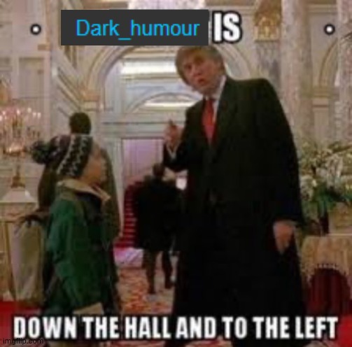 DARK HUMOR is down the hall and to the left | image tagged in dark humor is down the hall and to the left | made w/ Imgflip meme maker