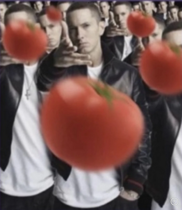 Boo you stink Blank Meme Template