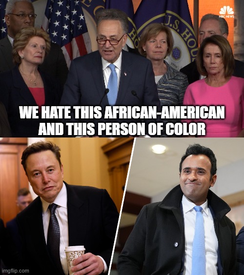 WE HATE THIS AFRICAN-AMERICAN AND THIS PERSON OF COLOR | image tagged in democrat congressmen,elon musk vivek ramaswamy | made w/ Imgflip meme maker