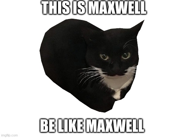 THIS IS MAXWELL; BE LIKE MAXWELL | made w/ Imgflip meme maker