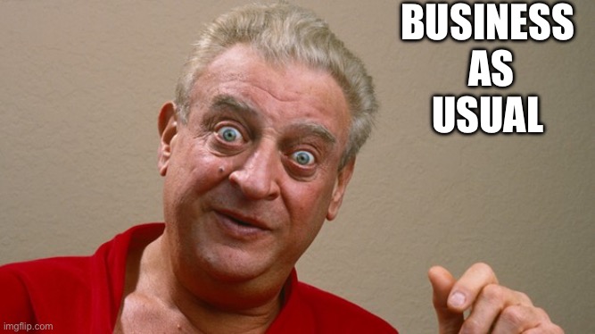 Rodney Dangerfield | BUSINESS 
AS
USUAL | image tagged in rodney dangerfield | made w/ Imgflip meme maker