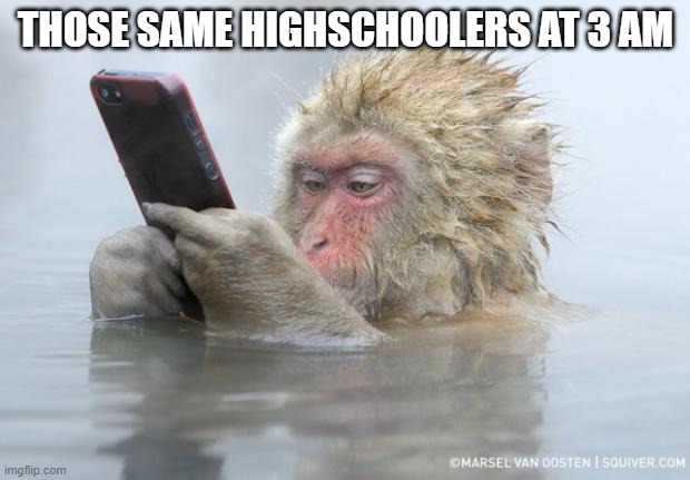 monkey mobile phone | THOSE SAME HIGHSCHOOLERS AT 3 AM | image tagged in monkey mobile phone | made w/ Imgflip meme maker