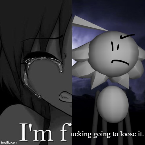 ucking going to loose it. | image tagged in lol | made w/ Imgflip meme maker