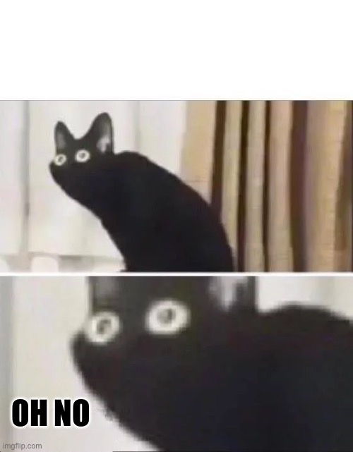 Oh No Black Cat | OH NO | image tagged in oh no black cat | made w/ Imgflip meme maker