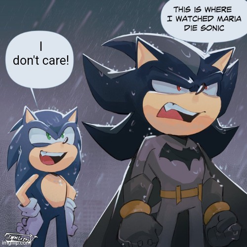 Shadow and sonic | I don't care! | image tagged in shadow and sonic | made w/ Imgflip meme maker