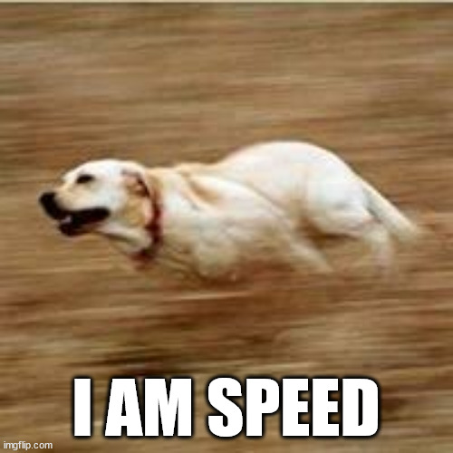 Speedy doggo | I AM SPEED | image tagged in speedy doggo | made w/ Imgflip meme maker