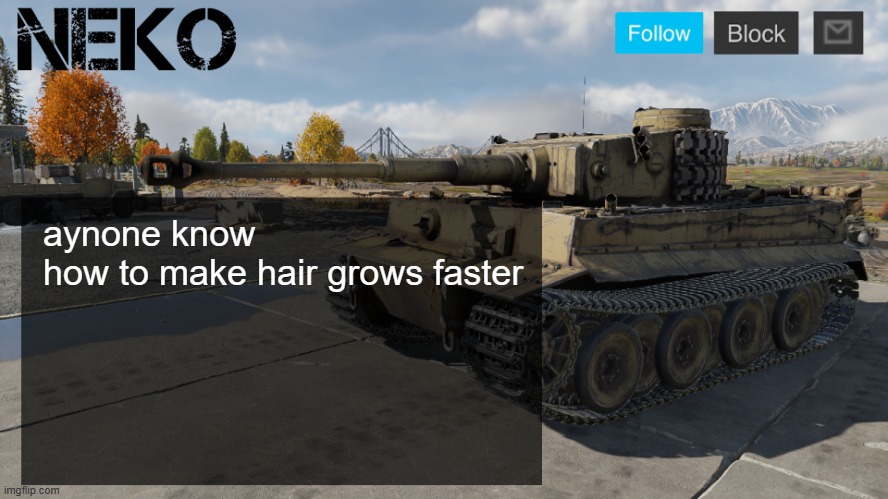 Neko tiger H1 template | aynone know how to make hair grows faster | image tagged in neko tiger h1 template | made w/ Imgflip meme maker