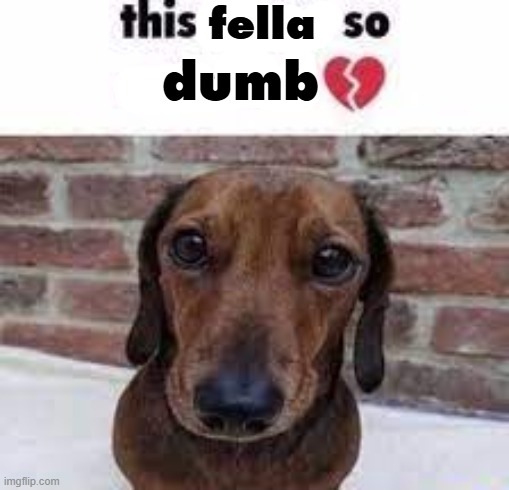 this dog so retarded | dumb; fella | made w/ Imgflip meme maker