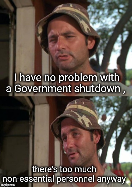 Bill Murray bad joke | I have no problem with a Government shutdown , there's too much non-essential personnel anyway | image tagged in bill murray bad joke | made w/ Imgflip meme maker