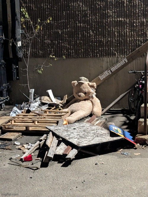 Skid row bear Blank Meme Template