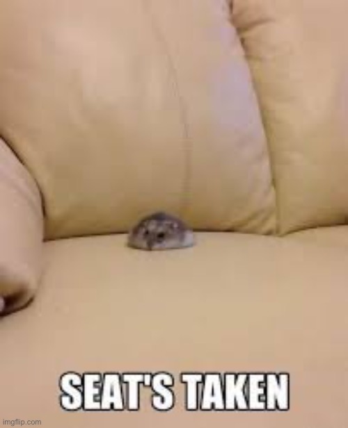 Seat’s taken lil bro | made w/ Imgflip meme maker
