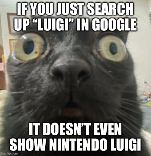 Jinx Staring | IF YOU JUST SEARCH UP “LUIGI” IN GOOGLE; IT DOESN’T EVEN SHOW NINTENDO LUIGI | image tagged in jinx staring | made w/ Imgflip meme maker