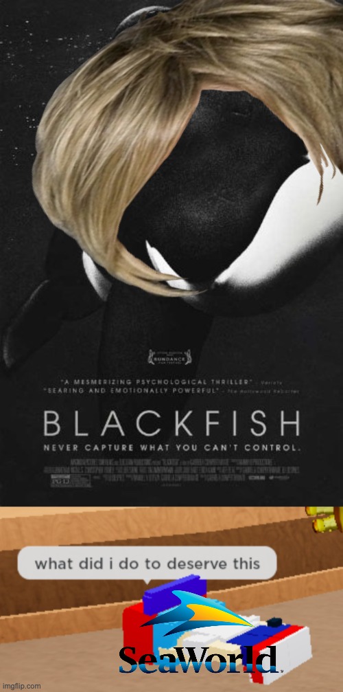 Okay, hear me out; SeaWorld did nothing wrong and Blackfish lied to us all. | image tagged in what did i do to deserve this,seaworld,orca,killer whale | made w/ Imgflip meme maker